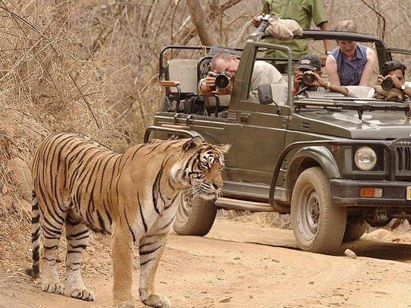 Taxi service in Ranthambhore