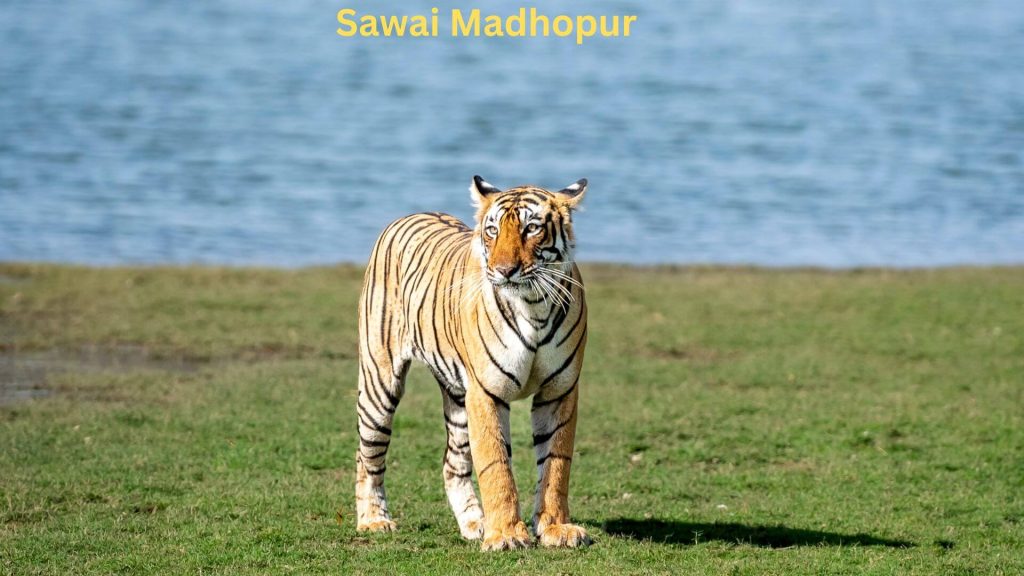 Jaipur to Sawai Madhopur taxi