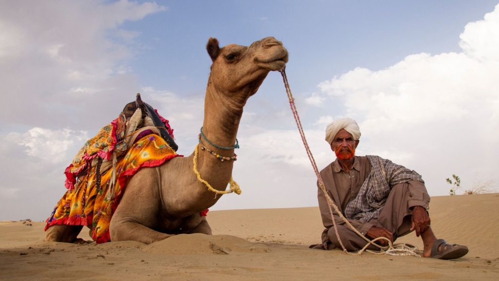 top 10 must-do experiences in Rajasthan