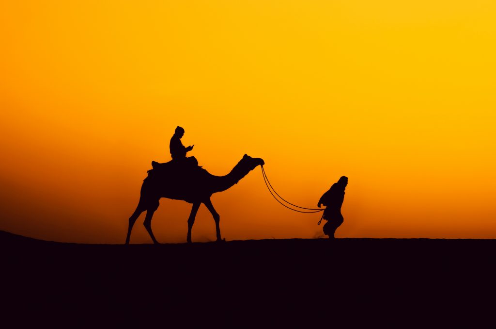 Camel Safari in Jaisalmer